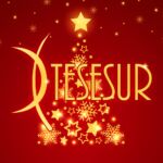 TESESUR